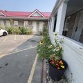 Tulip Motel