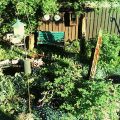 Twin Pines Bed and Breakfast