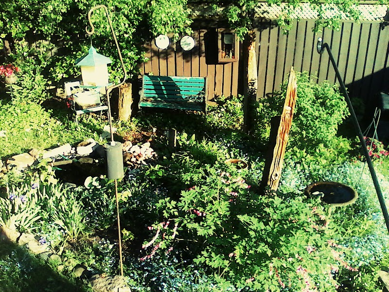 Twin Pines Bed and Breakfast in Kawartha Lakes, Canada
