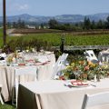 Vine Hill Inn