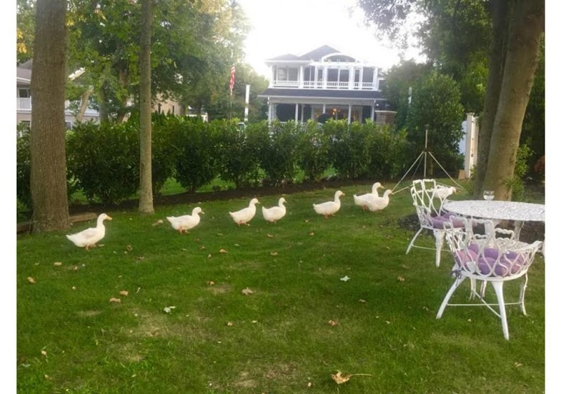 Walden Inn and Suites in Spring Lake Heights, New Jersey, United States