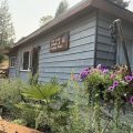 West Coast Rainforest Retreat