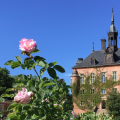 Wiks Slott