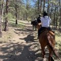 Wildhorse Mountain Guest Ranch