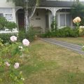 Windmill Hill Lodge