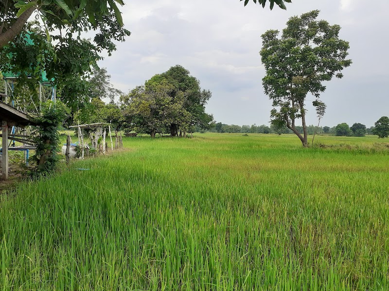 You Place in Maha Sarakham, Thailand