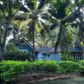 Young Coconut Garden Home Resort