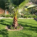 52 Oaks Guest House