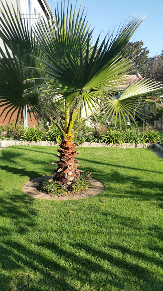 52 Oaks Guest House in Parys, South Africa