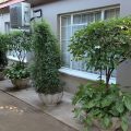 A-Cody Place