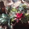 A La Fin Country B&B