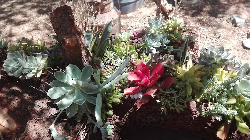 A La Fin Country B&B in Keimoes, South Africa