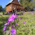 A Stone’s Throw Accommodation