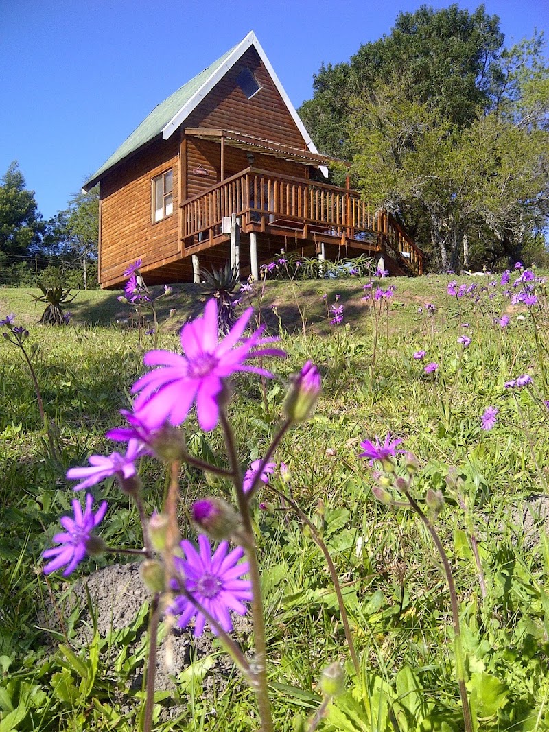 A Stone's Throw Accommodation in Grahamstown, South Africa
