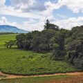 AfricaWildTruck Eco Camp & Lodge