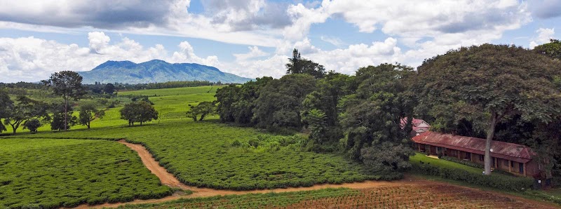 AfricaWildTruck Eco Camp & Lodge in Mulanje, Malawi