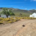African Game Lodge