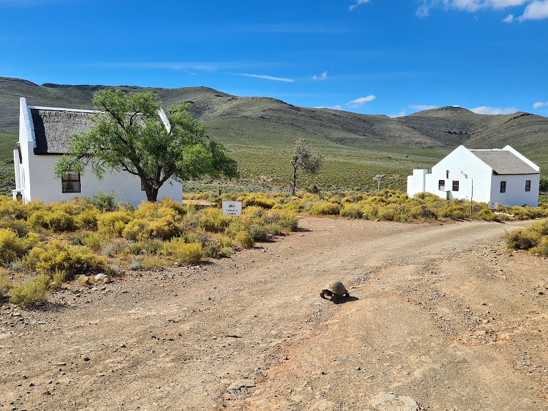African Game Lodge in Montagu, South Africa
