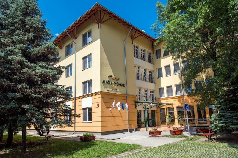 Alfold Gyongye Hotel in Oroshaza, Hungary