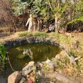 Amani Guest House