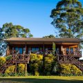 Anew Resort Ingeli Forest