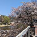 Anyang Boutique Hotel AMA