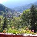 Apartments Savinja