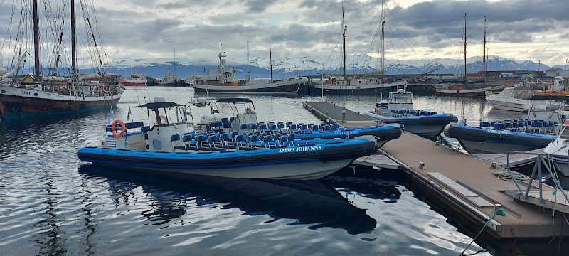 Arbol Guesthouse in Husavik, Faroe Islands