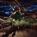 Ascot Bush Lodge