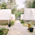 Asha Beach & Spa