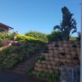 Avalon Guesthouse