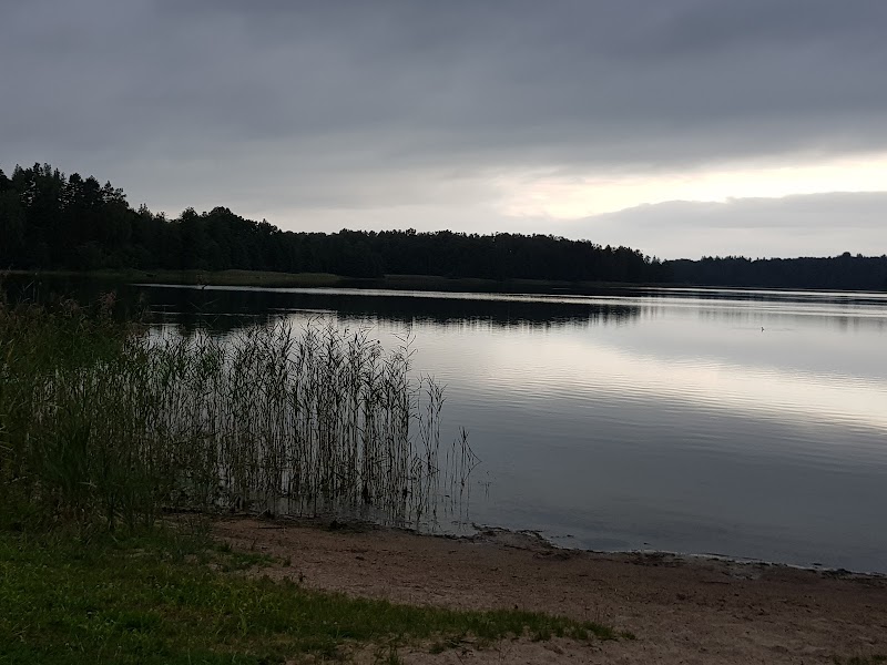 Babrukas in Trakai, Lithuania