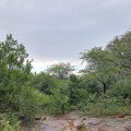 Balele Resort