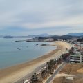 Beache Palace