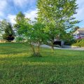 Bed & Breakfast Na Poljani