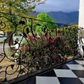 Bergview Guesthouse