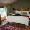 Black Leopard Camp