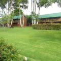 Bluegum Country Lodge