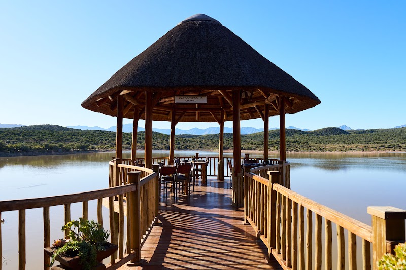 Buffelsdrift Game Lodge in Oudtshoorn, South Africa