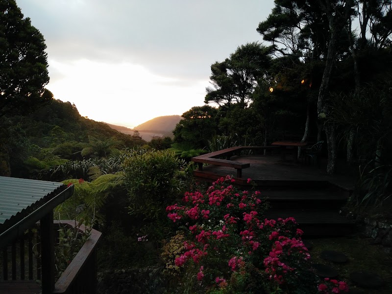 Bush Sand and Sea in Waitakere, New Zealand