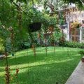 Casa San Juan