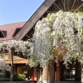 Centrum Hotel