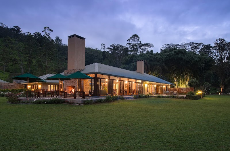 Ceylon Tea Trails in Hatton, Sri Lanka