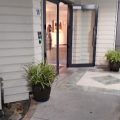 City Suites Tauranga