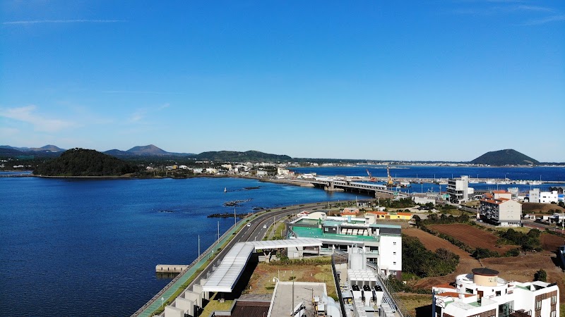 Co-op City Hotel Seongsan in Seogwipo, Korea, South