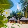 Cocodance Kitesurfing Resort