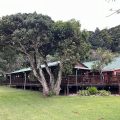 Cremorne Estate