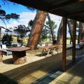 Dennehof Farm Guesthouse