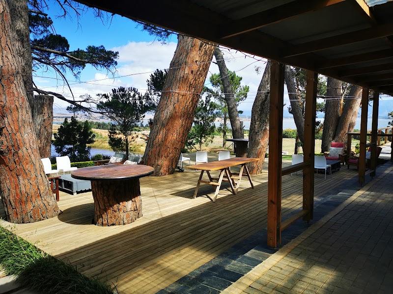 Dennehof Farm Guesthouse in Villiersdorp, South Africa