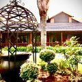Diamond Rose Guest House